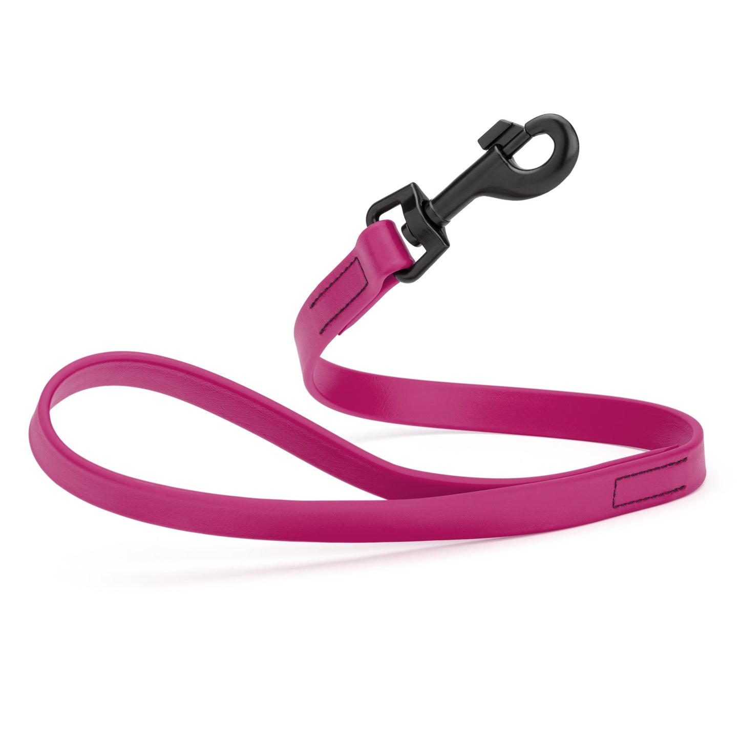 Biothane Waterproof Traffic Lead 2 ft