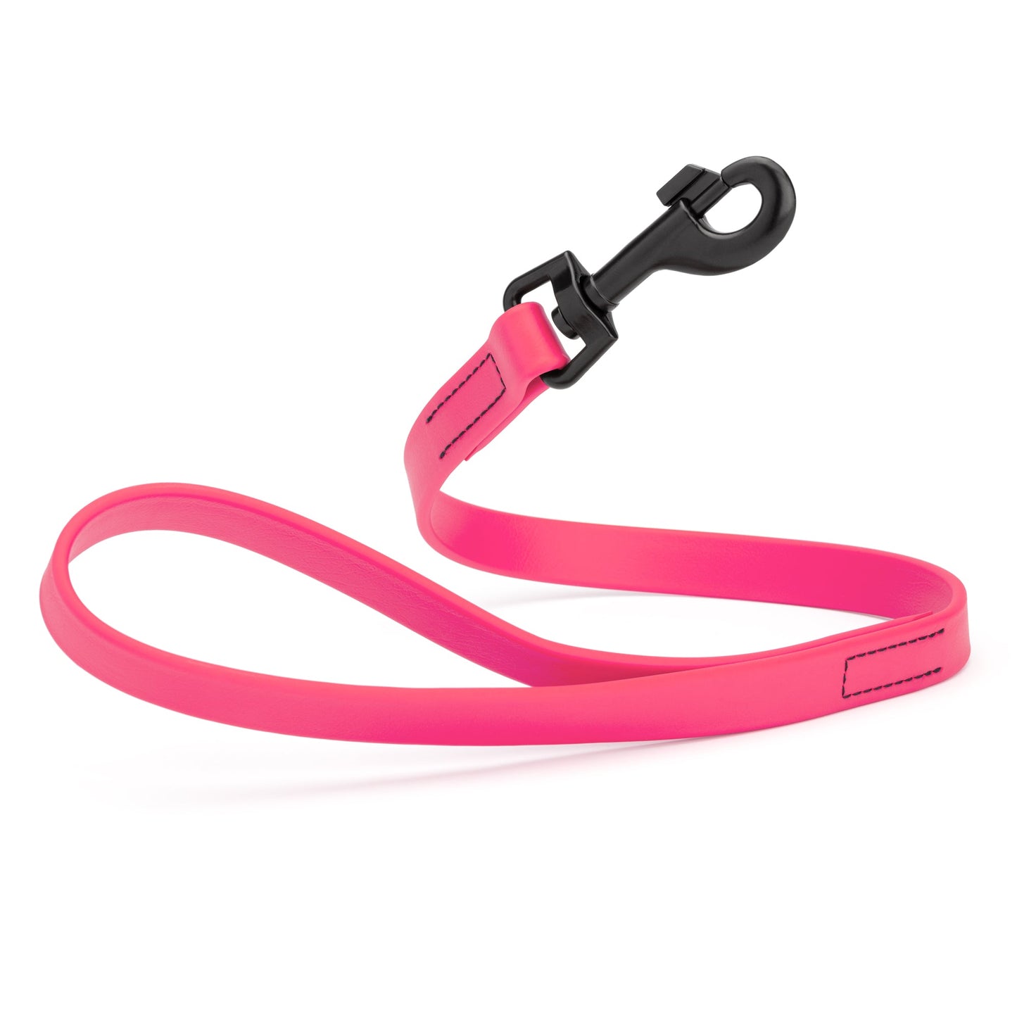 Biothane Waterproof Traffic Lead 2 ft