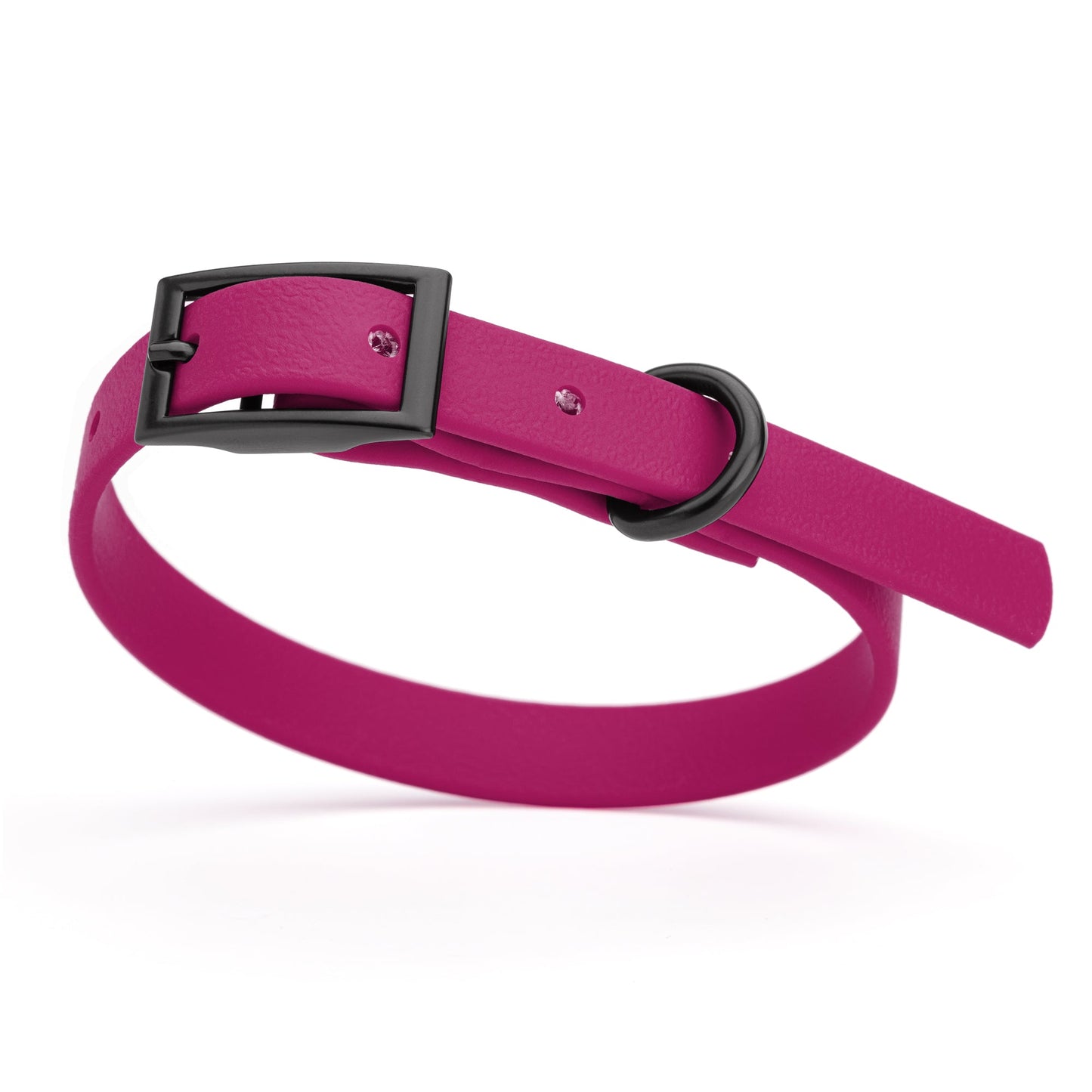 Biothane Waterproof Dog Collar - XS (9 to 12 inches)
