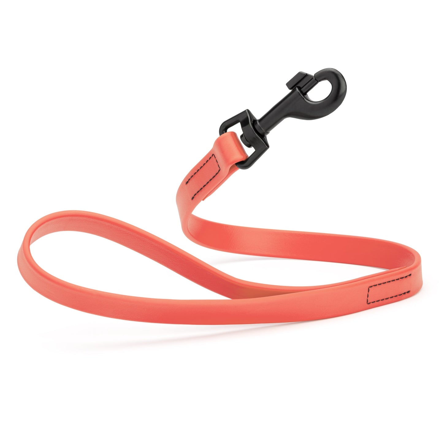 Biothane Waterproof Traffic Lead 2 ft