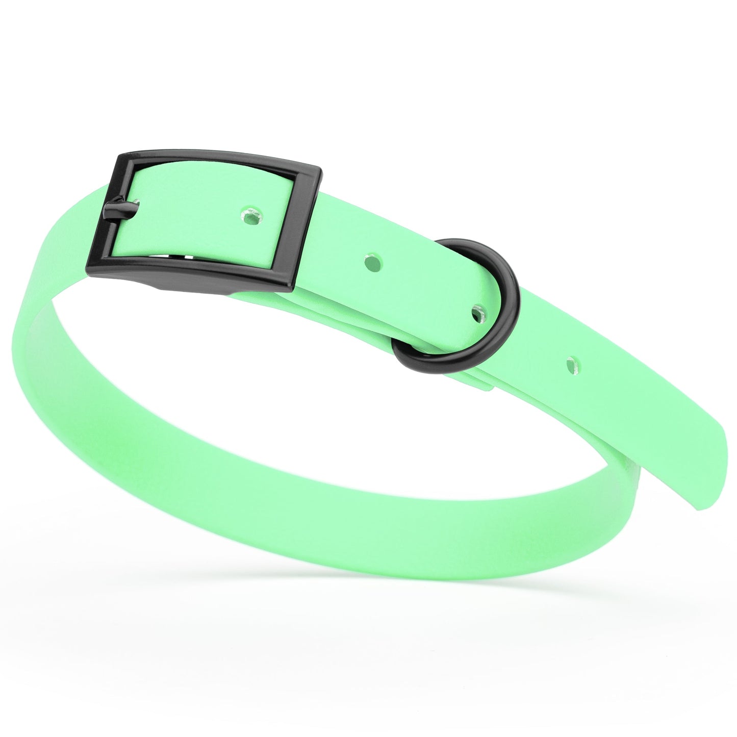 Biothane Waterproof Dog Collar - S (12 to 15 inches)