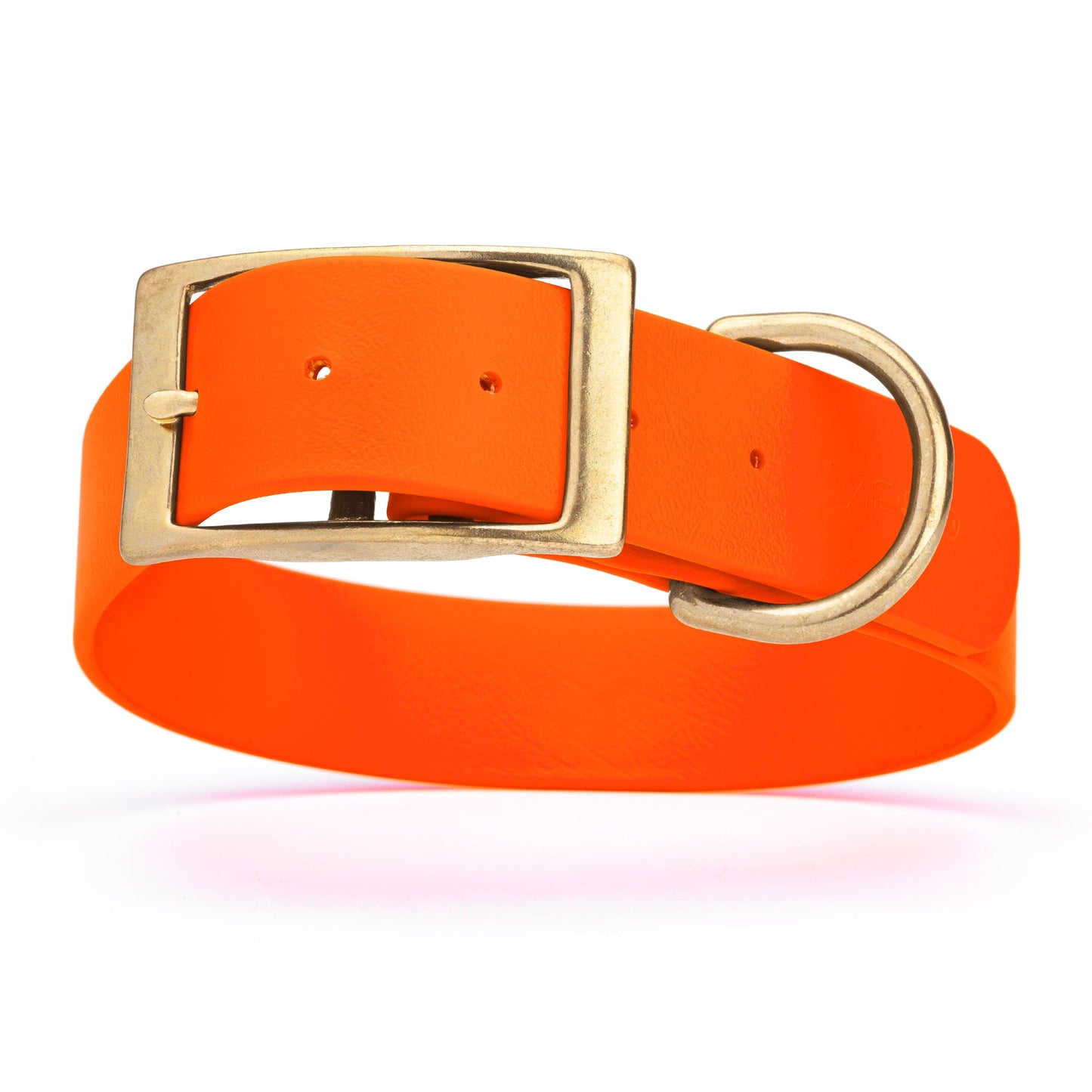 Viper Biothane Waterproof Collar - Brass Hardware - Size XXL, 1.5 in Wide (24 to 28 inches)