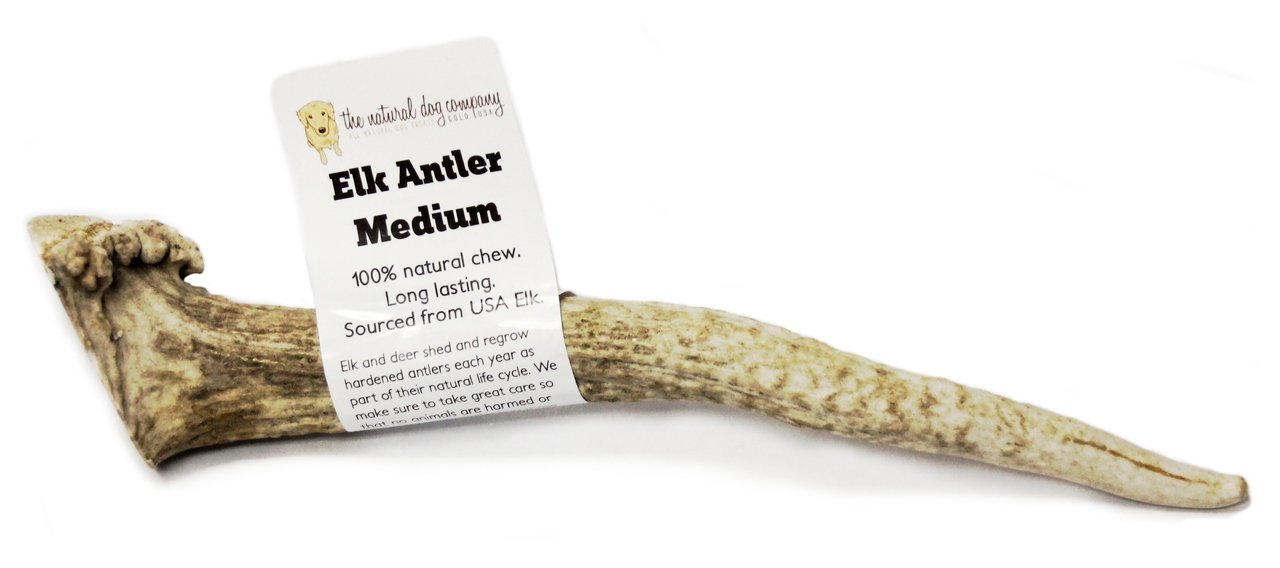 Elk Antler - Medium Whole- EACH