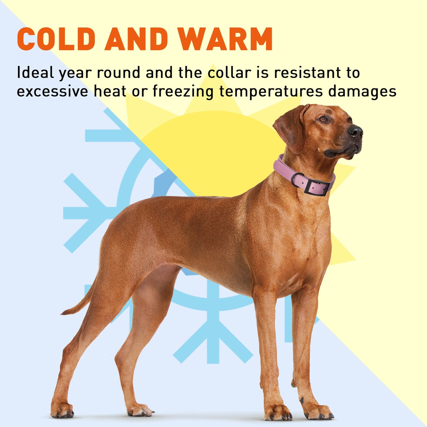 Biothane Waterproof Dog Collar - Wide - XXL (24 to 28 inches)
