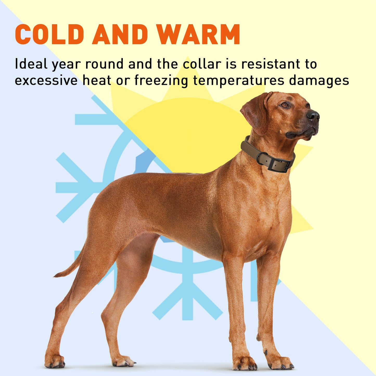Biothane Waterproof Dog Collar - Wide - L (16 to 20 inches)