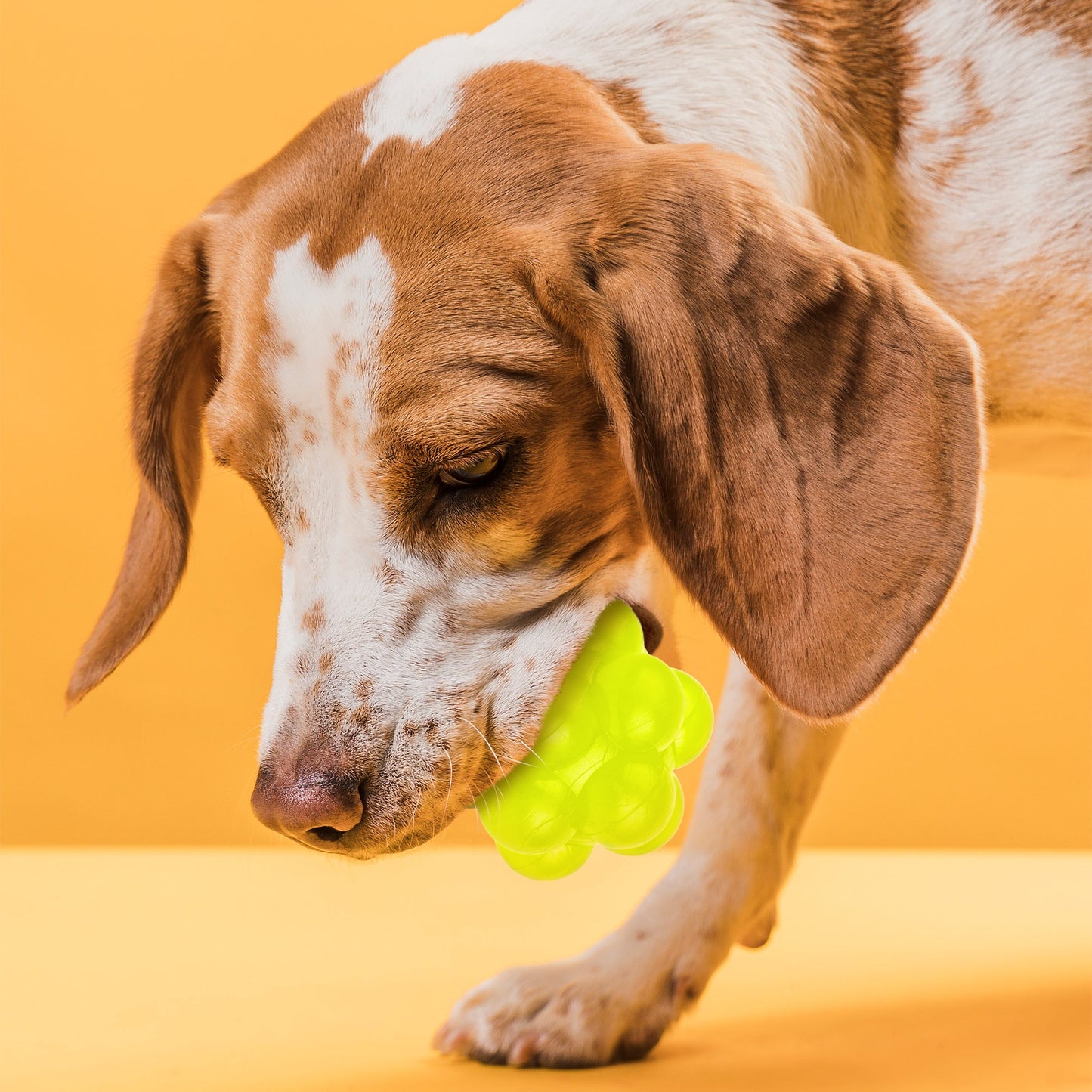 Rubber Bur Ball