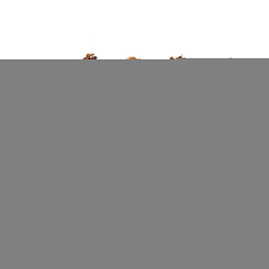 6" Braided Pork Pizzle (Bulk)- Pack of 25