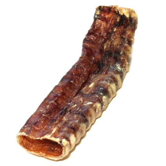 6" Beef Trachea (Bulk - Shrinkwrapped)- Pack of 25