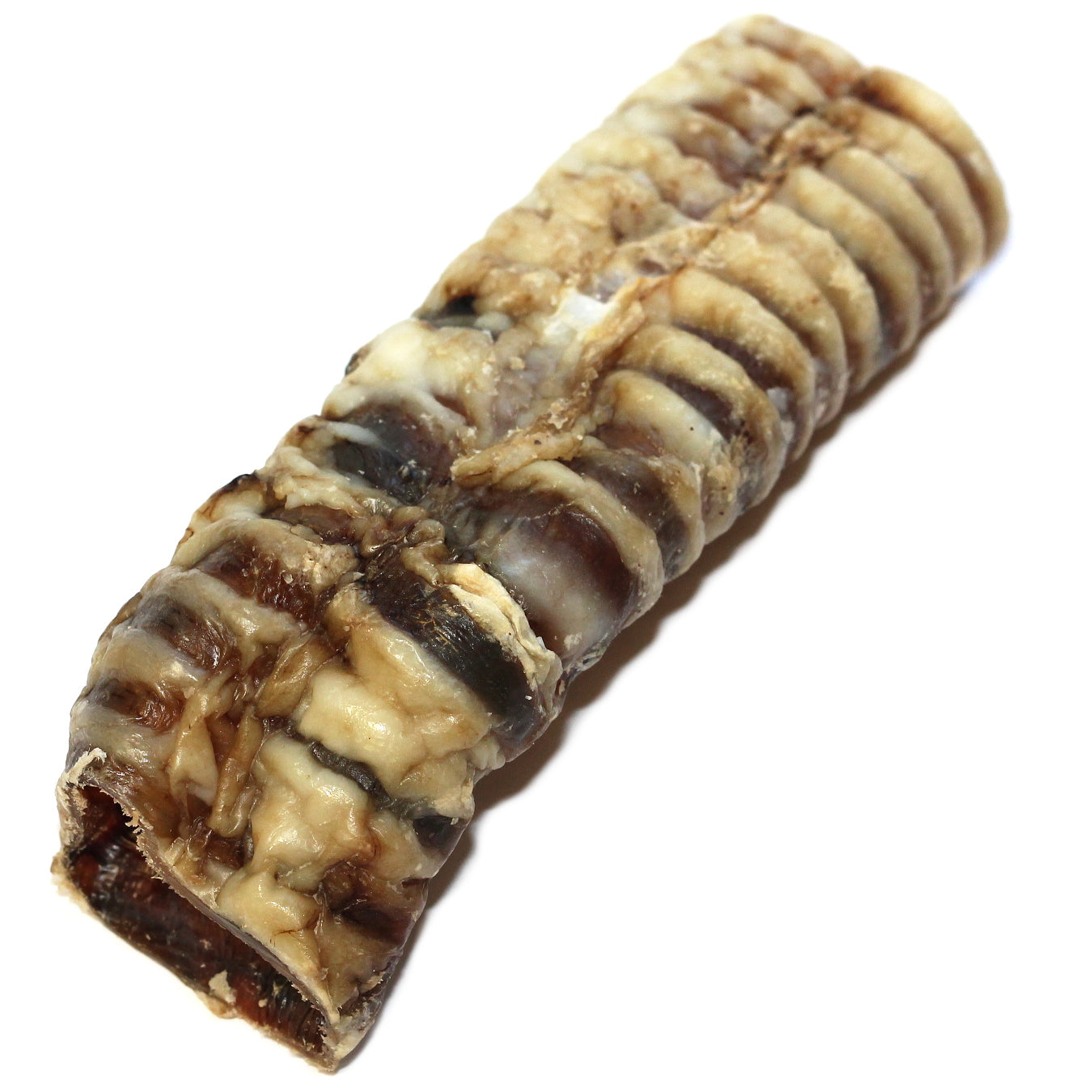 6" Beef Trachea (Bulk - Shrinkwrapped)- Pack of 25