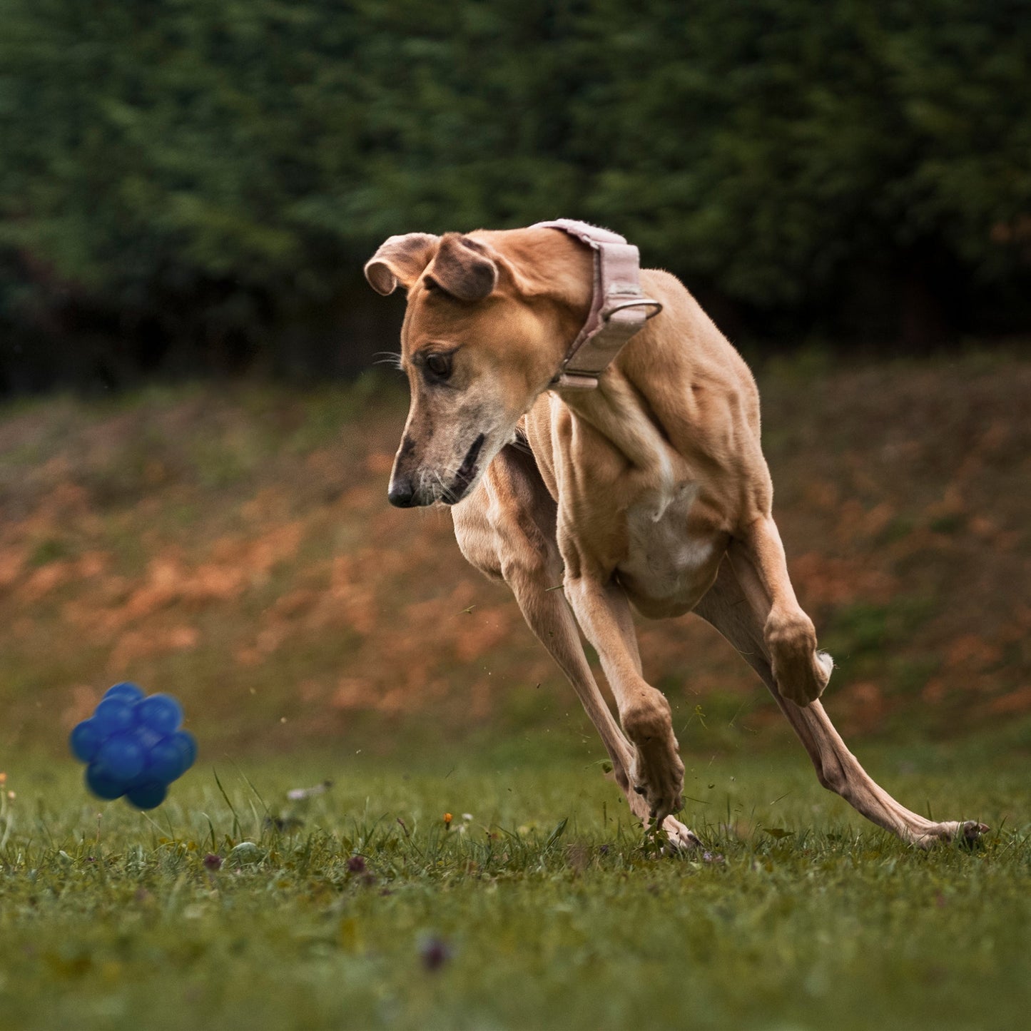 Rubber Bur Ball