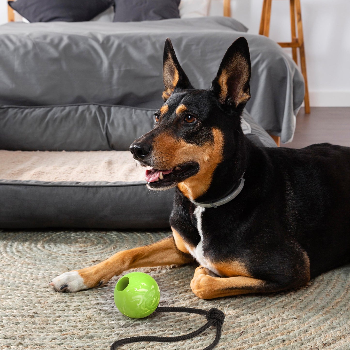 Rubber Euro Ball with Rope