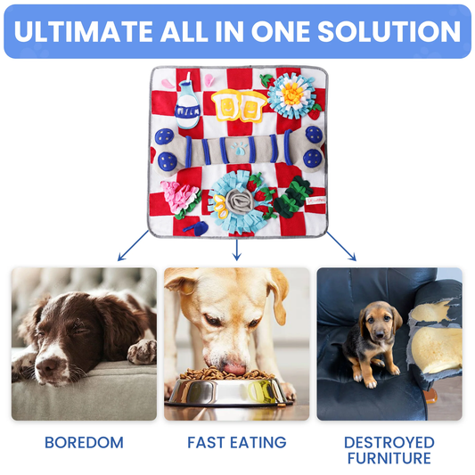 Red Bone Snuffle Mat