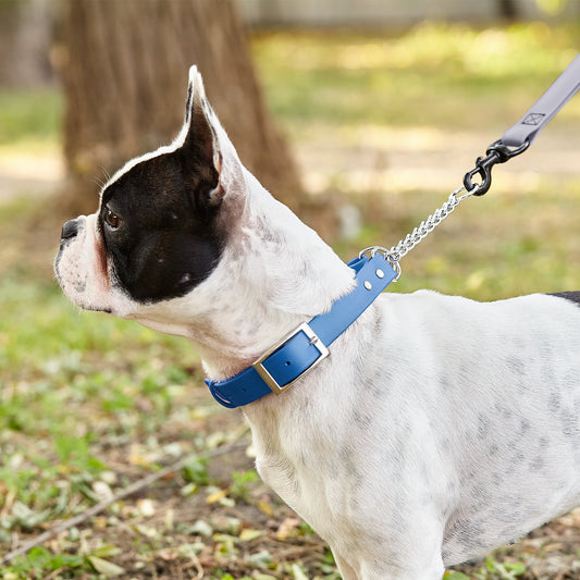 Biothane Adjustable Martingale Dog Collar with Metal Buckle