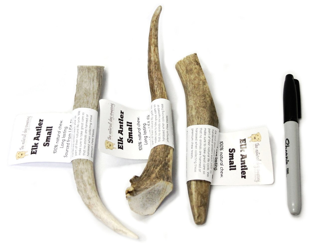Elk Antler - Small Whole- EACH