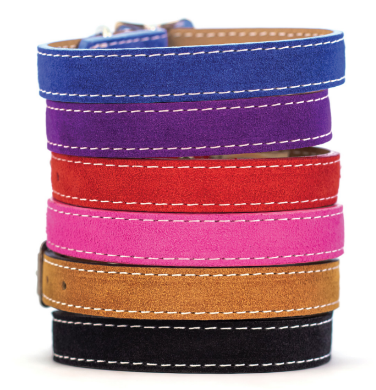 SARATOGA SUEDE COLLARS