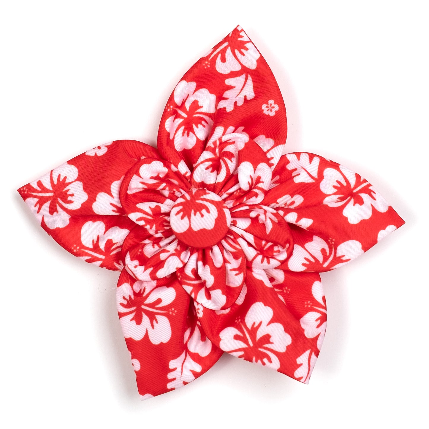 Aloha Flower