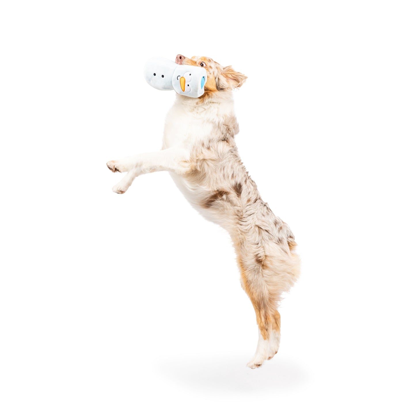 Squeak 'n Peek Frosty Snowman Dog Toy