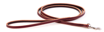 LEATHER TRAINING LEAD