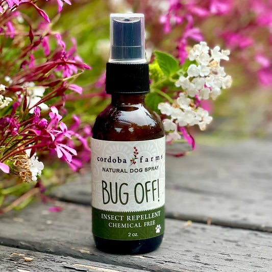 Bug Off!