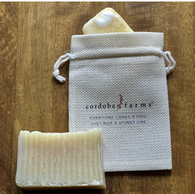 Shampoo Saver Bag