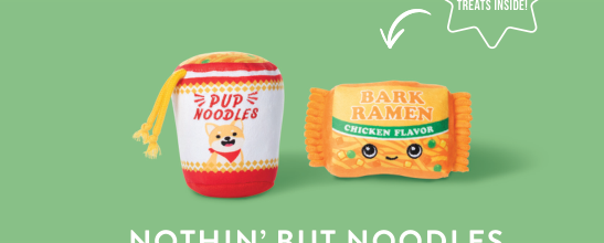 Fringe Studio Nothin But Noodles 2 Piece Dog Toy Set