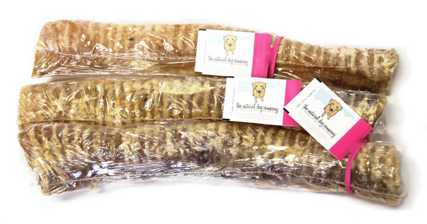 12" Beef Trachea (Bulk) -Pack of 25