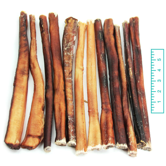 12" Thick Bully Sticks - Odor Free (Bulk) - Pack of 25