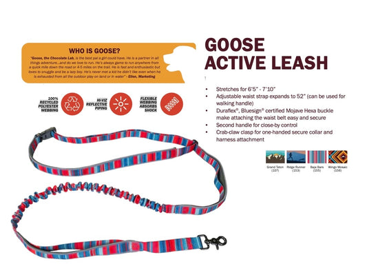 Goose Active Leash