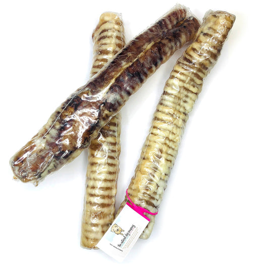 12" Beef Trachea (Bulk) -Pack of 25