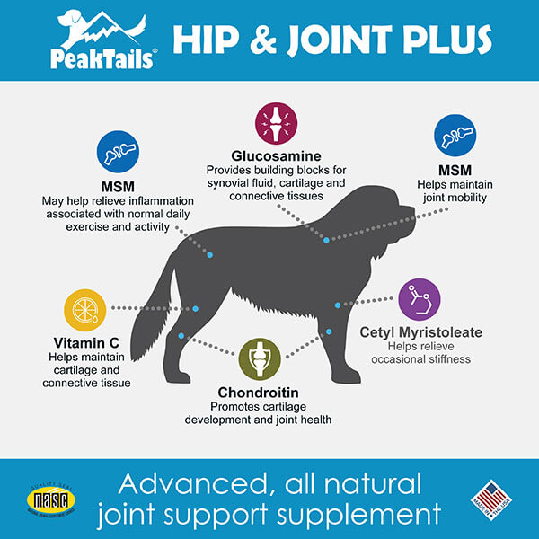 Hip & Joint Plus
