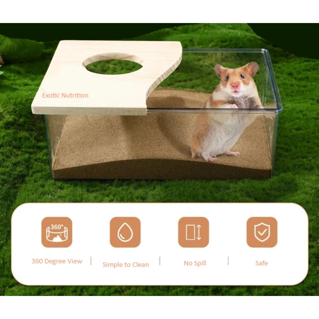 Exotic Nutrition Acrylic Sand Bath with a hamster inside