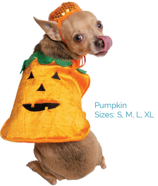 Pumpkin