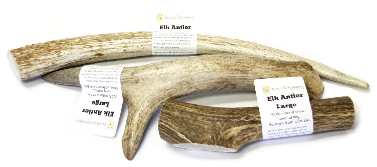 Elk Antler - Large Whole- EACH