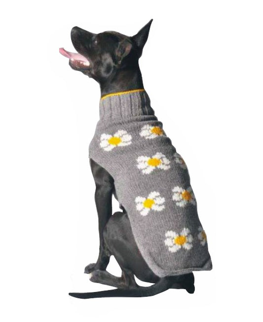 Girly Daisy