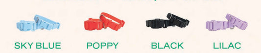 Collars Assorted Size (Case of 4)