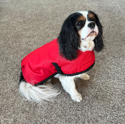 Easy Wrap Coat