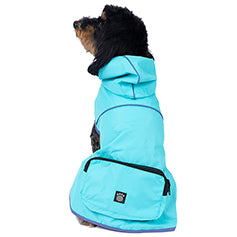 Small black dog wearing a turquoise dog raincoat with a hood and black zippered pockets