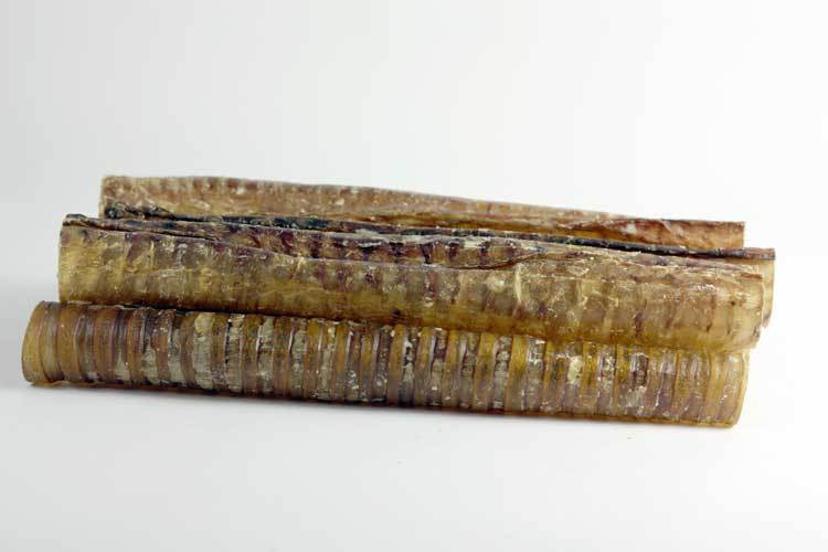 12" Beef Trachea (Bulk) -Pack of 25