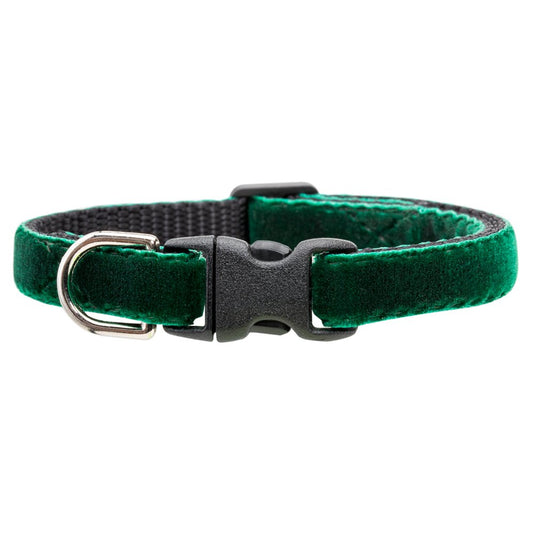 The Enchanted Forest - Collar