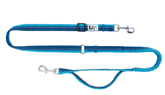 Bungee Active Leash