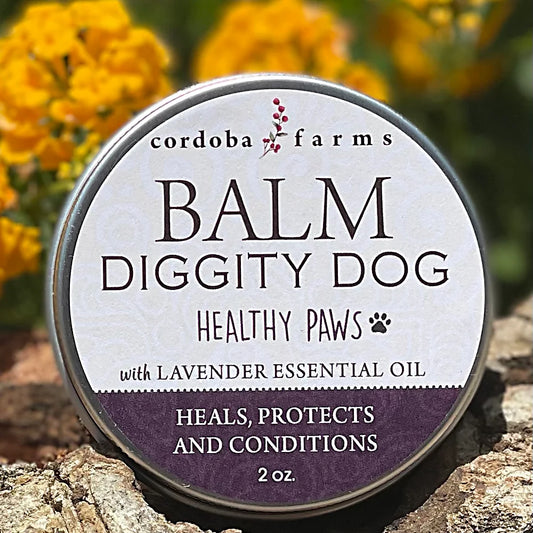 Balm Diggity Dog- Healthy Paws