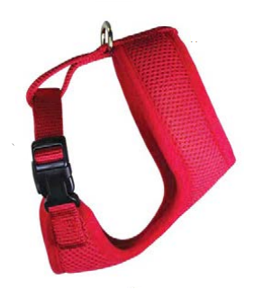 Chicken Harness