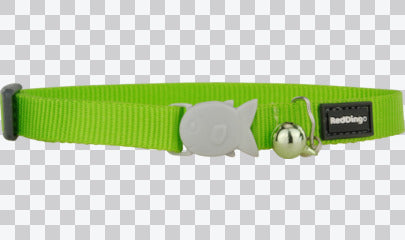Cat Collars - Classic