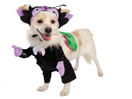 The Count
