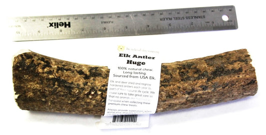 Elk Antler - Huge Whole- EACH
