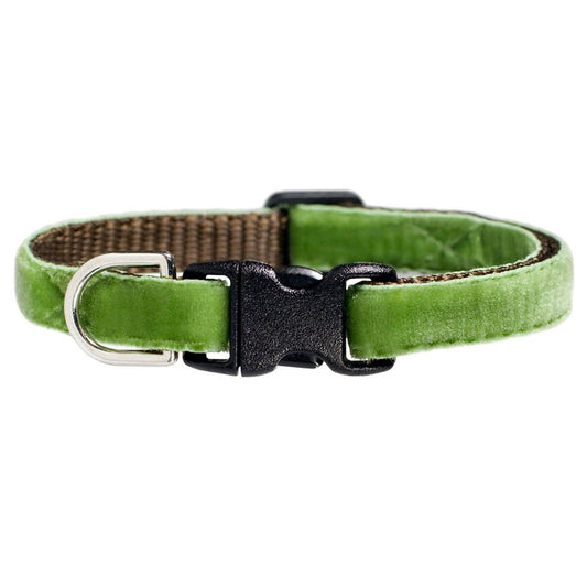 The Lucky Charm - Collar