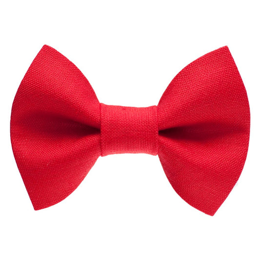 The Boss Is In - Bow Tie