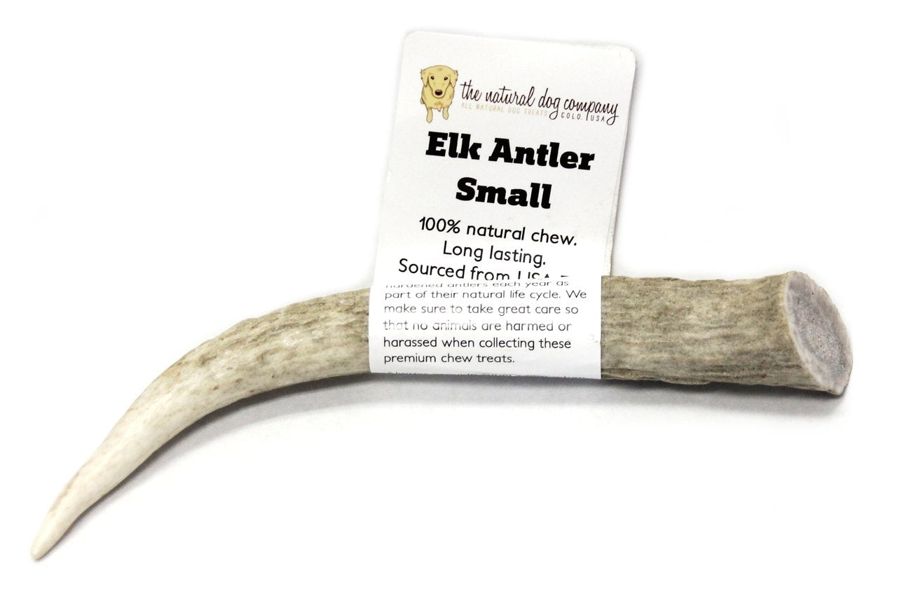 Elk Antler - Small Whole- EACH