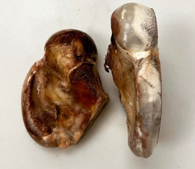 Bison Knot, Kuckles, and Hip