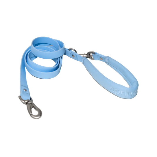 Small & Regular Leash (Case of 4)